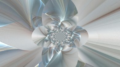 הדלת אל האושר