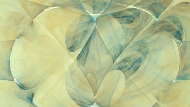 זיהוי הרצון האישי והגשמתו