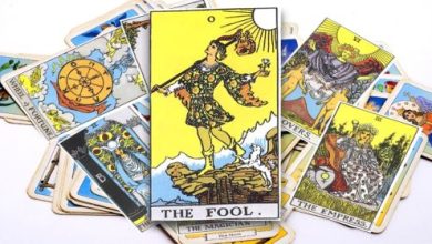 קלף השוטה - כל המשמעויות