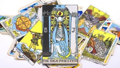 קלף הכוהנת הגדולה- כל המשמעויות