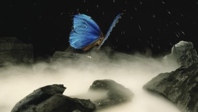 קלפי אושו- מראה לנשמה הפנימית