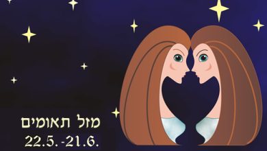 פרופיל מזל תאומים