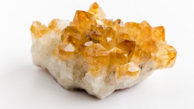 סיטרין אבן השפע