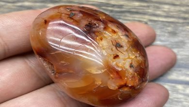 אבן אגת אש חומה