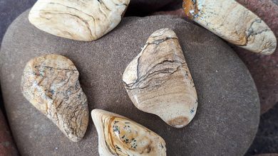 אבן ג'ספר חומה