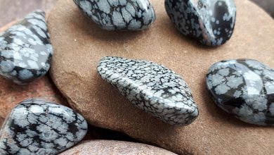 אובסידיאן סנופלייק