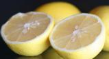לימון (Citrus limon)
